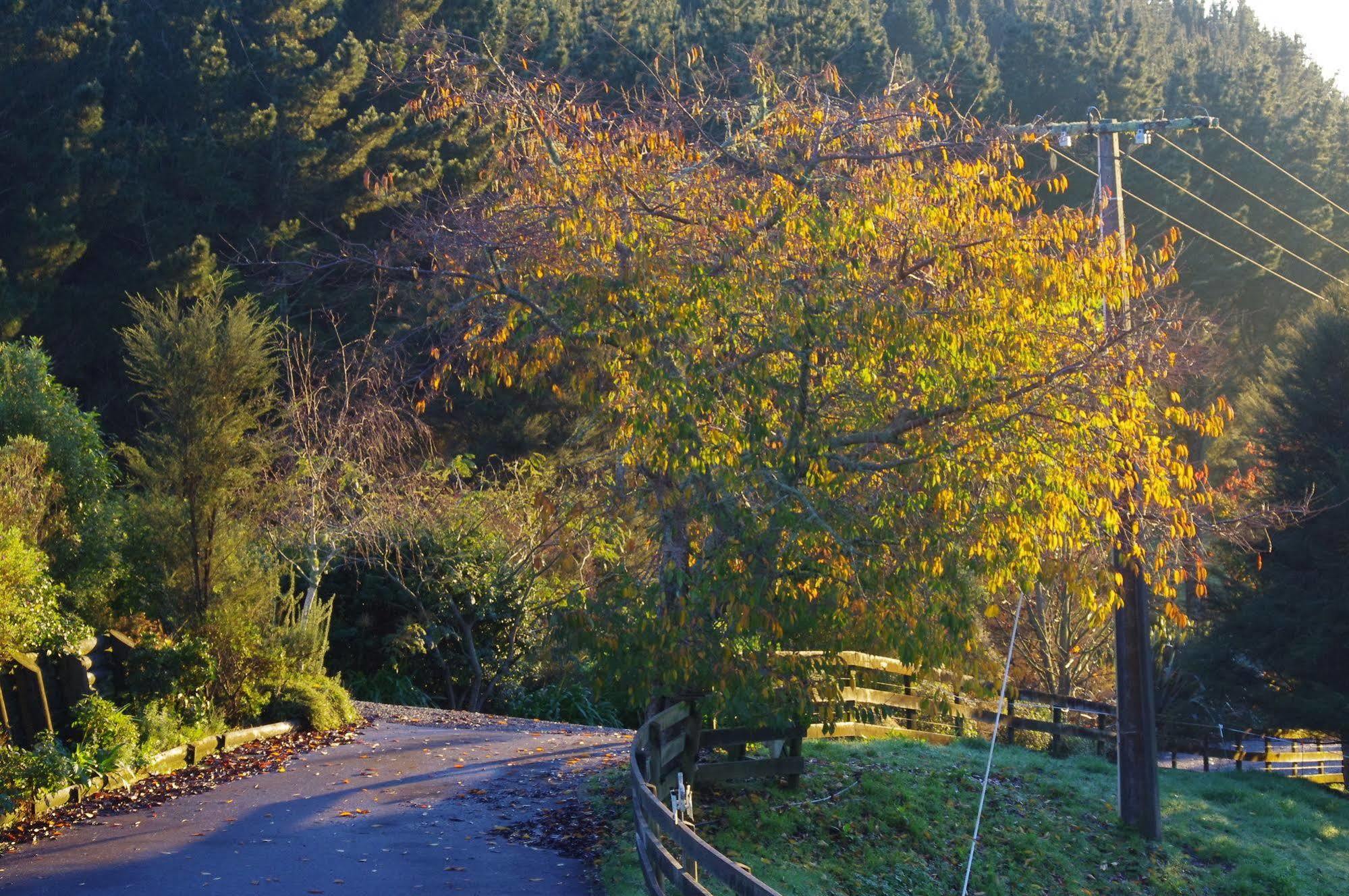 Karamu Valley Lodge 외부 사진